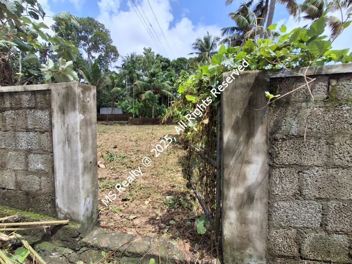 Riverside 12.5 Cents of Scenic CRZ-III Land at Thattampady, North Paravur for Sale