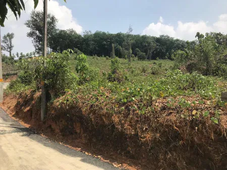 40 cent plot for sale Maneed, Vettithara, Piravom